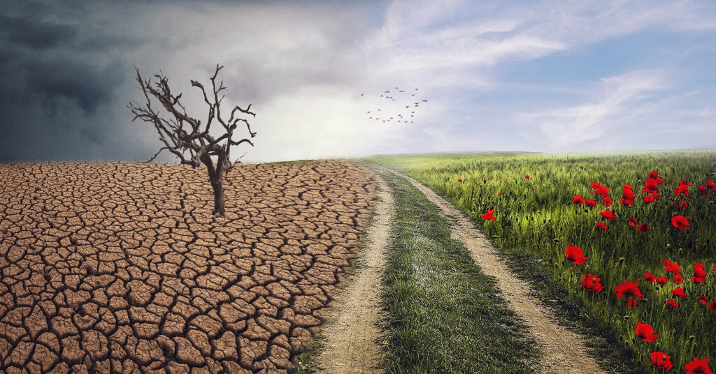 Climate and Ecological Crisis