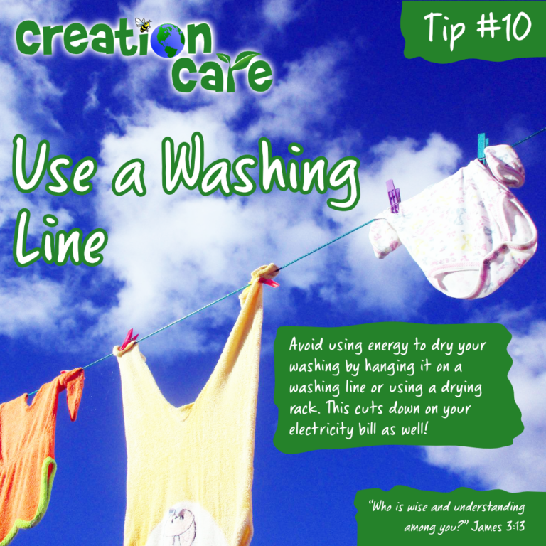 Eco Tip #10