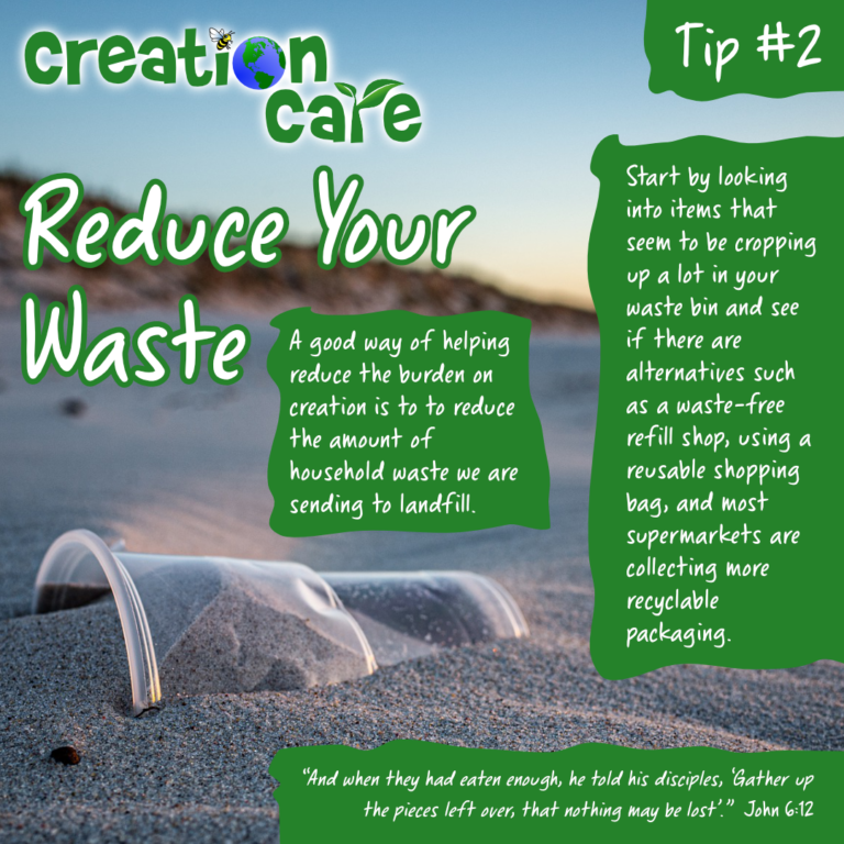 Eco Tip #2