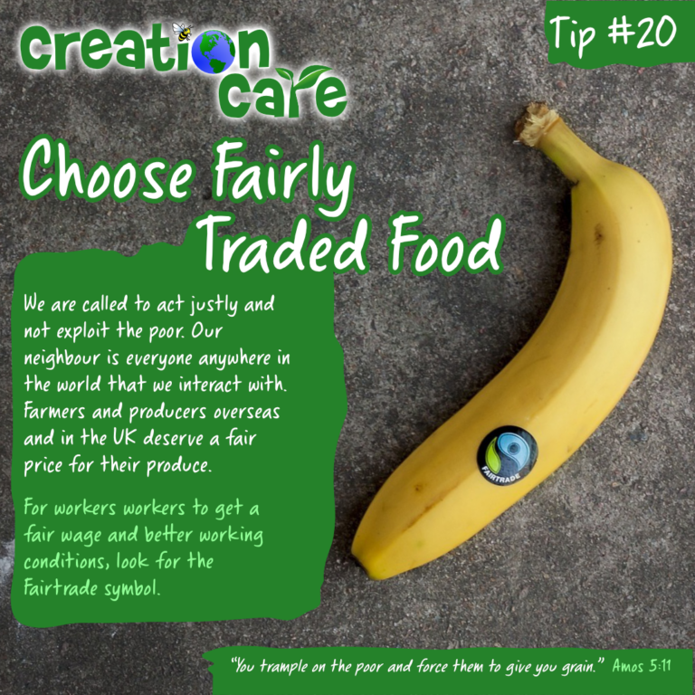 Eco Tip #20