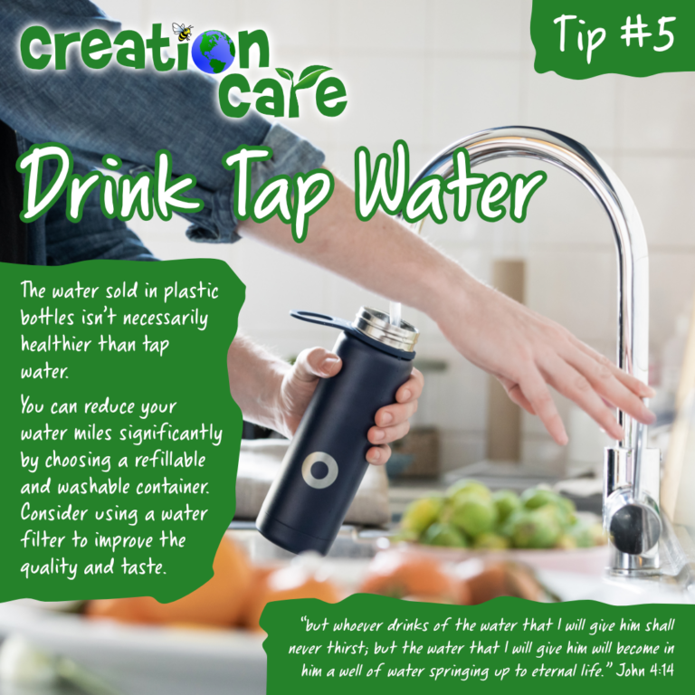 Eco Tip #5