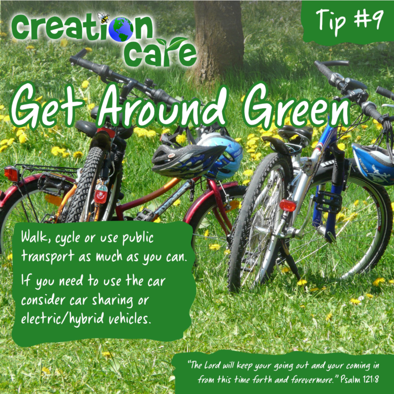 Eco Tip #9