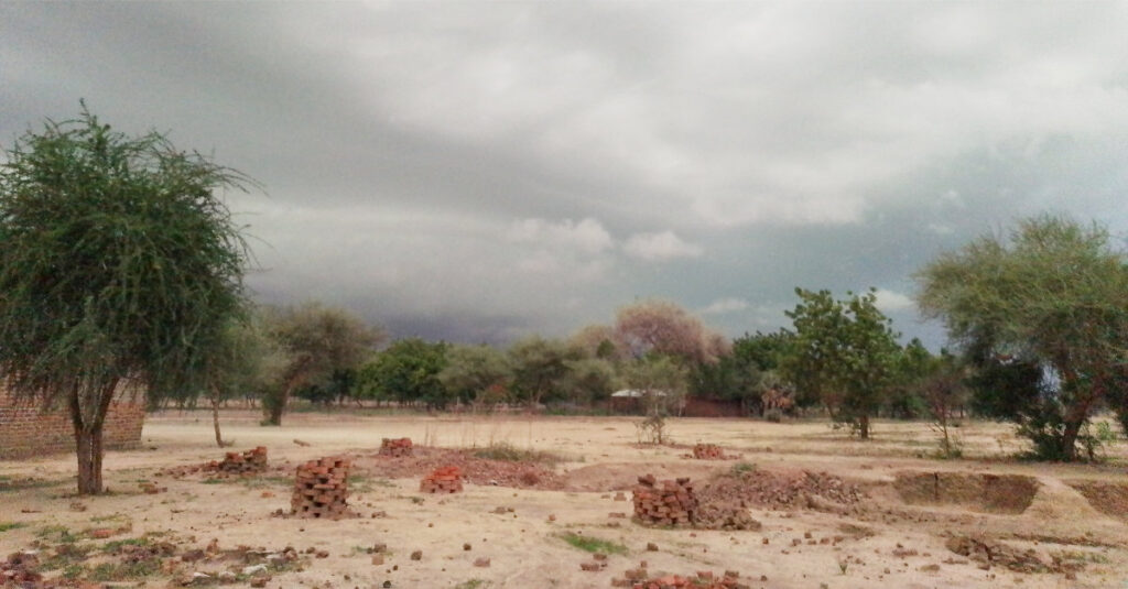 August newsletter feature image