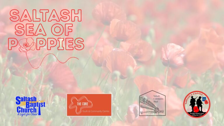Saltash Sea of Poppies